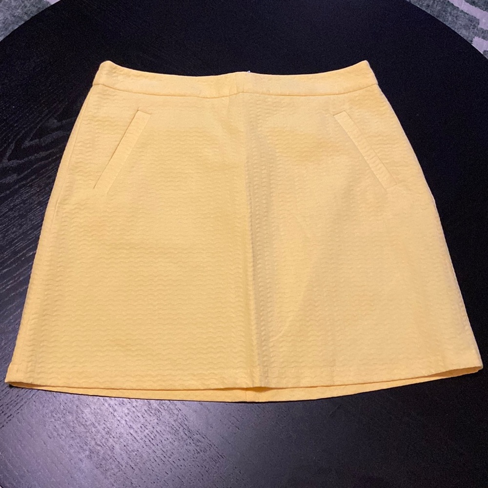 The Limited Skirt